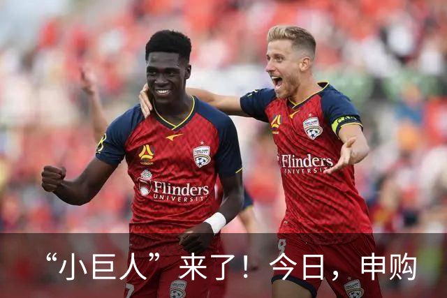 “小巨人”来了！今日，申购