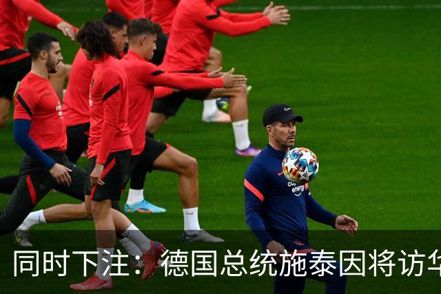 同时下注：德国总统施泰因将访华，几乎同时总理默茨将访问日本