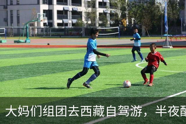 大妈们组团去西藏自驾游，半夜醒来，她发现除了自己其他人全死了
