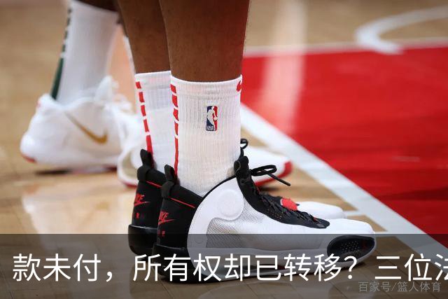 款未付，所有权却已转移？三位法学专家提出异议，陕西1200万元原煤追偿案申请再审