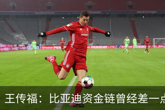 王传福：比亚迪资金链曾经差一点断掉