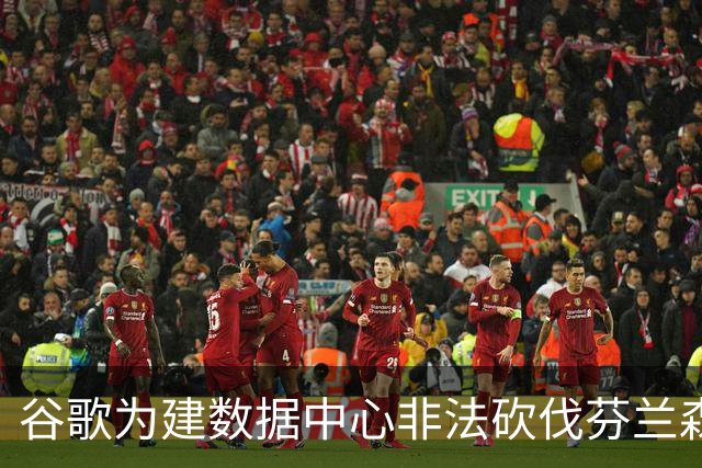 谷歌为建数据中心非法砍伐芬兰森林25万棵树，狼群被迫进村觅食