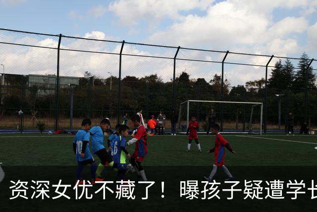 资深女优不藏了！曝孩子疑遭学长故意砸球日网叹：上初中会更惨