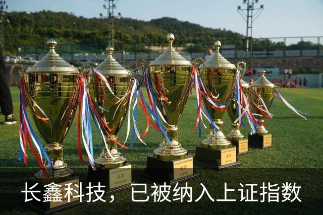 长鑫科技，已被纳入上证指数