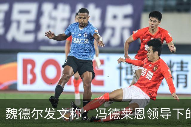 魏德尔发文称：冯德莱恩领导下的欧盟委员会是未经选举的官僚机构