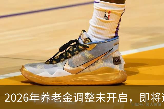2026年养老金调整未开启，即将迎来人社部第三季度会议，会提及吗