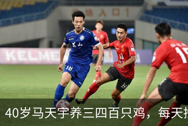 40岁马天宇养三四百只鸡，每天捡100多枚蛋，自曝钱够花便无所谓，是活明白了还是提前认输
